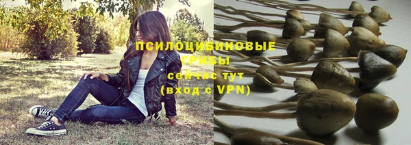 apvp Нефтекумск