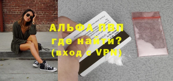 стаф Нефтегорск