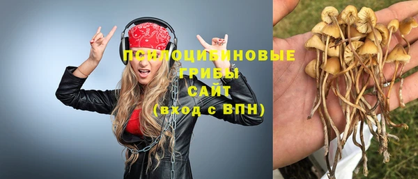 apvp Нефтекумск